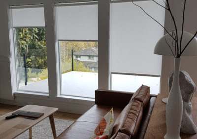 honeycomb-shades-vancouver-lux-blinds-project