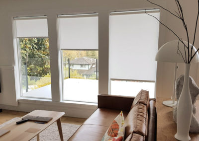 honeycomb-shades-vancouver-lux-blinds-project