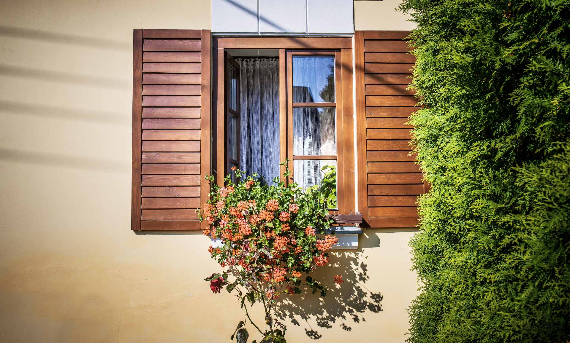 Wooden Shutters in Vancouver